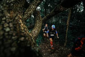 BIB: 
                            <button type="button" onclick="openModal(25694052)" class="btn btn-primary btn-sm float-right btn-popup" data-toggle="modal" data-target=".modal-high-quality">
                        <i class="fas fa-shopping-cart"></i> Add to Cart
                    </button>
                                            <button type="button" onclick="isThisMe(25694052, true)" class="btn btn-success btn-sm float-right btn-popup btn-isme hidden" data-toggle="tooltip" data-placement="bottom" title="นี่คือรูปของคุณใช่ไหม คลิกที่นี่เพื่อเอาเข้าอัลบั้ม">
                        <i class="fas fa-plus"></i> Add to album
                    </button>
                    <button type="button" onclick="isThisMe(25694052, false)" class="btn btn-warning btn-sm float-right btn-popup btn-isnotme hidden">
                        <i class="fas fa-ban"></i> Remove from album
                    </button>